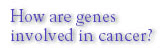 How are genes involved in cancer?